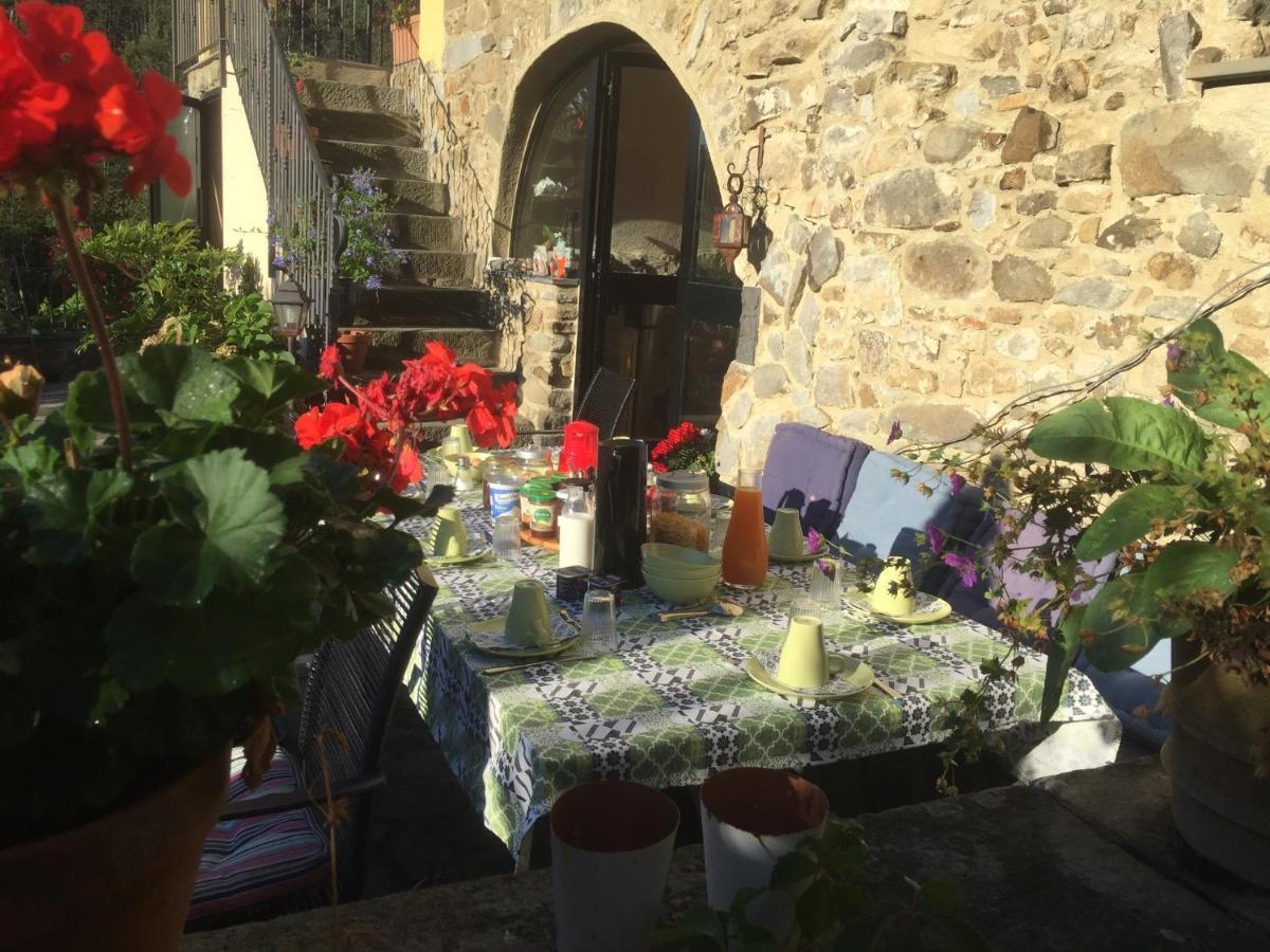 B&B Il Tulipano Polverara ภายนอก รูปภาพ