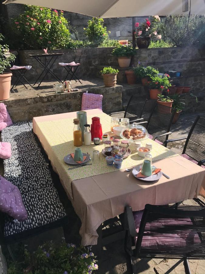 B&B Il Tulipano Polverara ภายนอก รูปภาพ